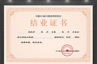 由晶心兒童注意力研究院頒發的結業證書