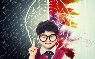 提升邏輯思維能力改善數學理解及運算能力